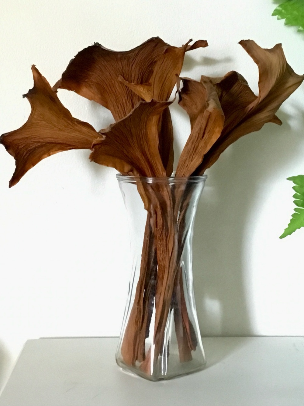 12 Decorative Brown Dried Floral Stems - Home Accents